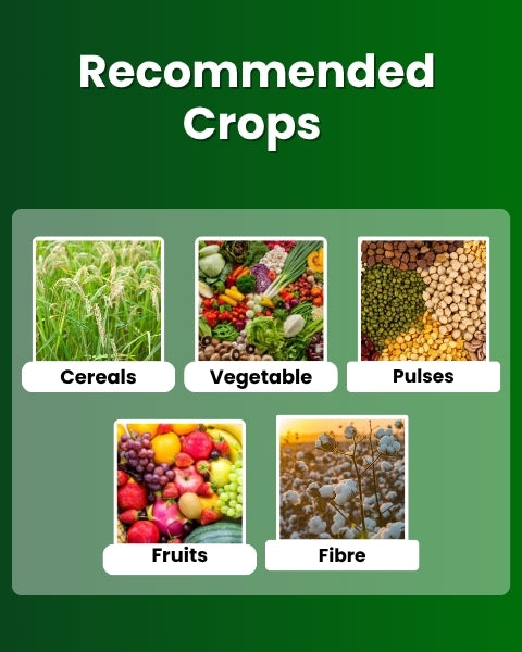 Katyayani NPK 12:61:00 Fertilizers