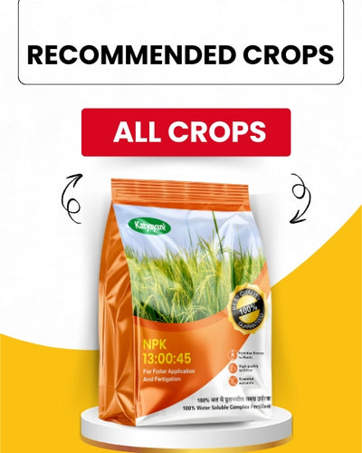 KATYAYANI NPK 13 00 45 FERTILIZER