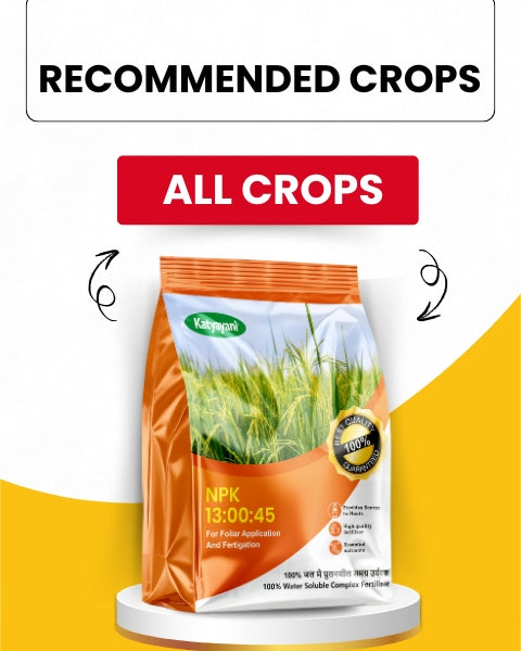 KATYAYANI NPK 13 00 45 FERTILIZER