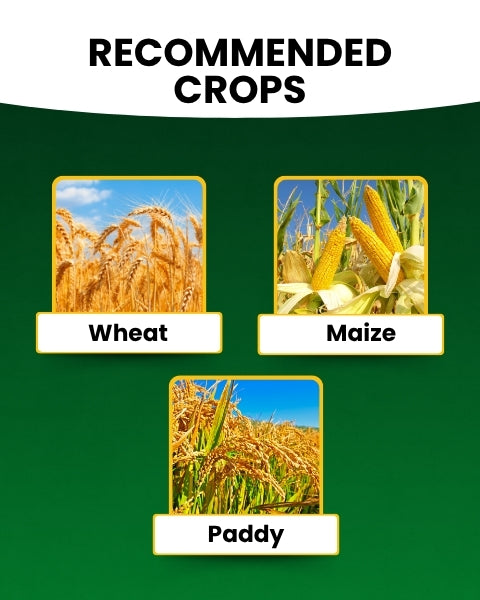 KATYAYANI NPK 00:52:34 - Fertilizers