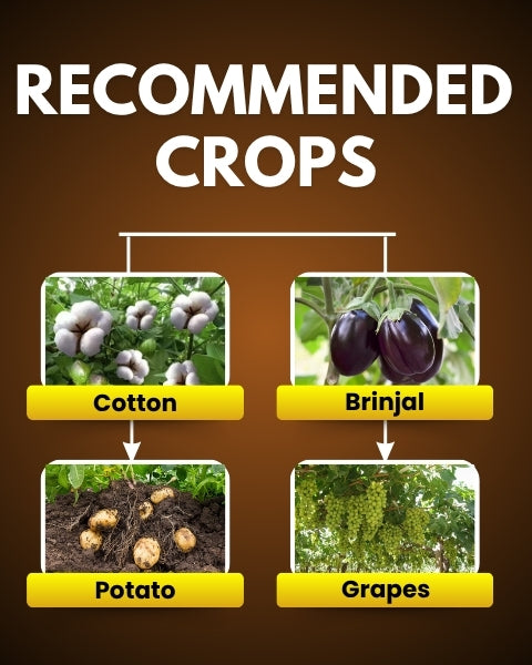 Katyayani Mikochin (Chlormequat Chloride 50% SL) Plant Growth Regulator
