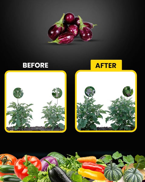 KAY BEE - NOVA ZYME GROWTH REGULATOR