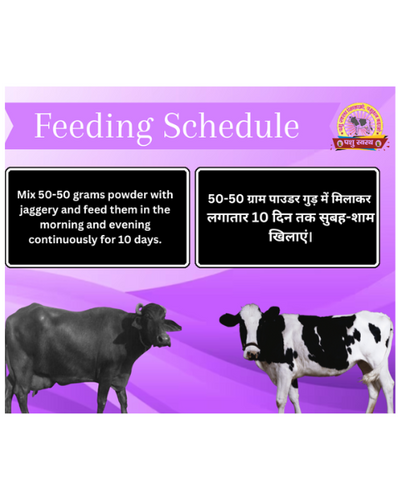 PASHU SVASTH FRS GOLD POWDER (Fight Phosphorus Deficiency in Cows & Buffalo) Feed Supplements