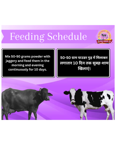 PASHU SVASTH FRS GOLD POWDER (Fight Phosphorus Deficiency in Cows & Buffalo) Feed Supplements