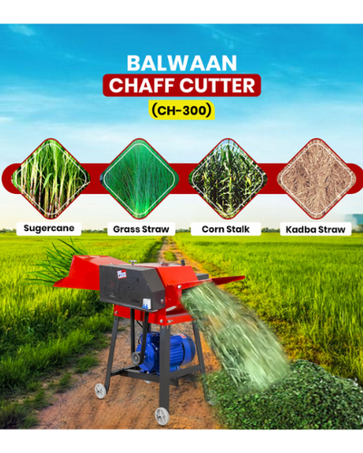 BALWAAN CHAFF CUTTER CH-300 (WITH GEAR & MOTOR)