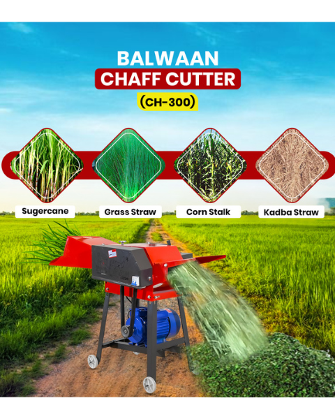 BALWAAN CHAFF CUTTER CH-300 (WITH GEAR & MOTOR)