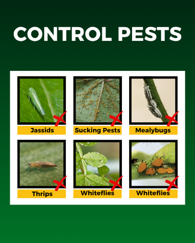 KATYAYANI SARVASHAKTI- ORGANIC PESTICIDE