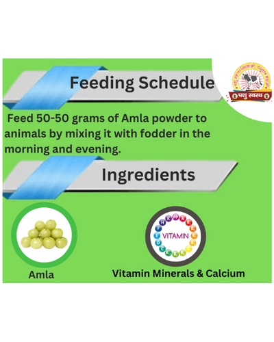 PASHU SVASTH Amla Powder (Boost Vitamin C for Cattle) Feed Supplements