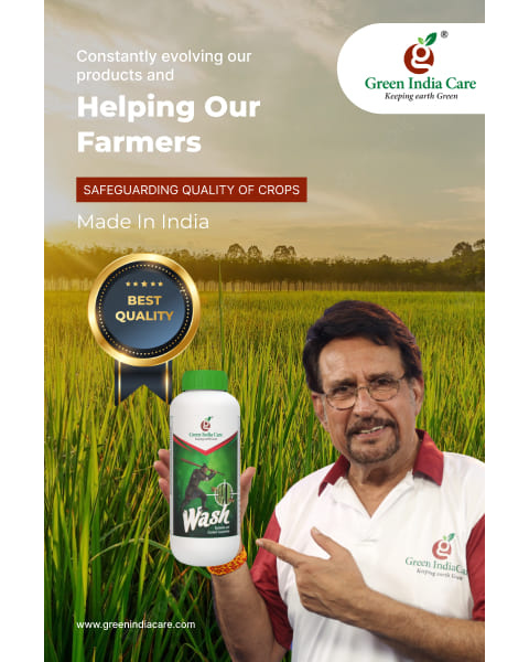 WASH Insecticides