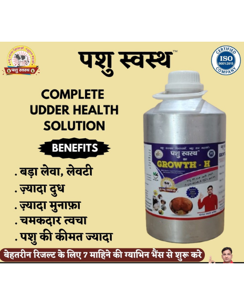 PASHU SVASTH Growth H GOLD  (Liquid Supplement for Cows, Buffaloes, Dogs, Cats & Birds) Feed Supplements