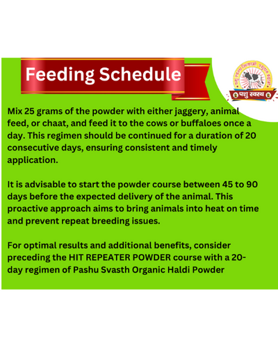 PASHU SVASTH Hit Repeater Powder (Natural Fertility Booster for Cows & Buffalo) Feed Supplements