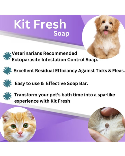 PASHU SVASTH Kit Fresh (Ayurvedic Repellent for Ayus, Horses, Cows, Buffalos, Camels & More) Animal Surface Disinfectants