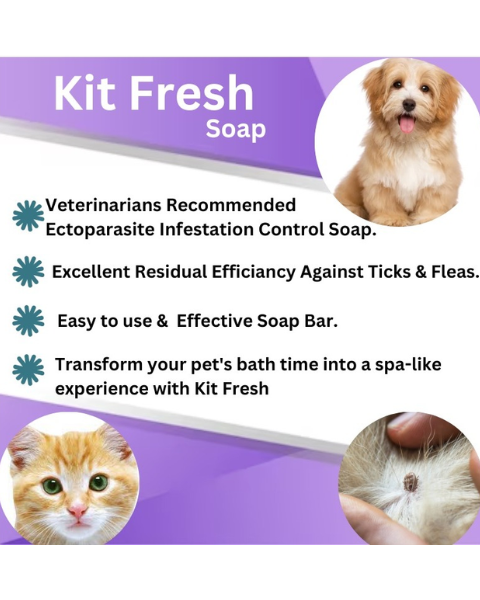 PASHU SVASTH Kit Fresh (Ayurvedic Repellent for Ayus, Horses, Cows, Buffalos, Camels & More) Animal Surface Disinfectants