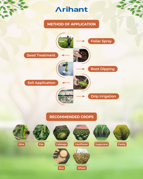 ARIHANT SULPHOXI - Bio Fertilizer