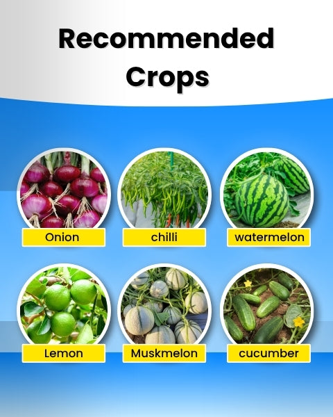 Katyayani K-Ortho (Orthosilicic Acid 2%) Organic Fertilizers