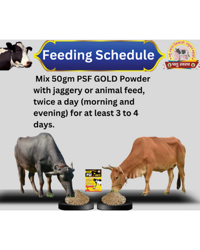 Pashu Svasth PSF Gold FANKI – Herbal Remedy for Animal Health Feed Supplements