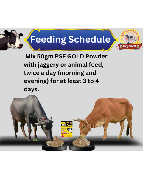 Pashu Svasth PSF Gold FANKI – Herbal Remedy for Animal Health Feed Supplements
