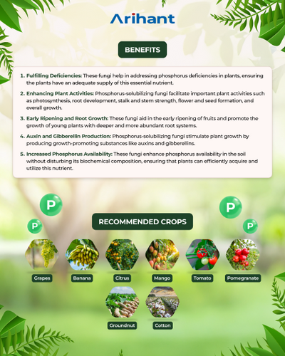 ARIHANT PHOSOLVE - Bio Fertilizer