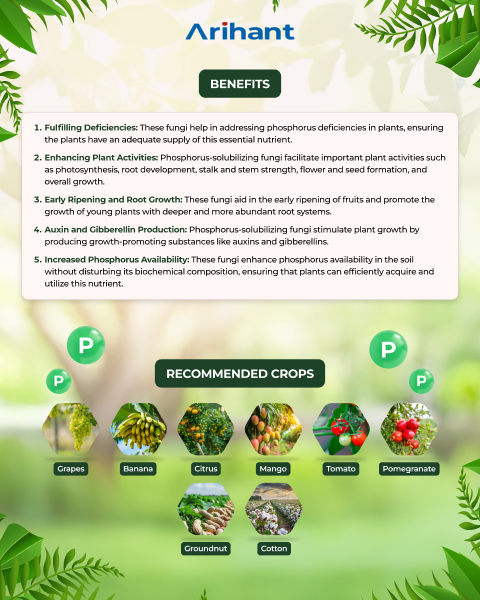 ARIHANT PHOSOLVE - Bio Fertilizer