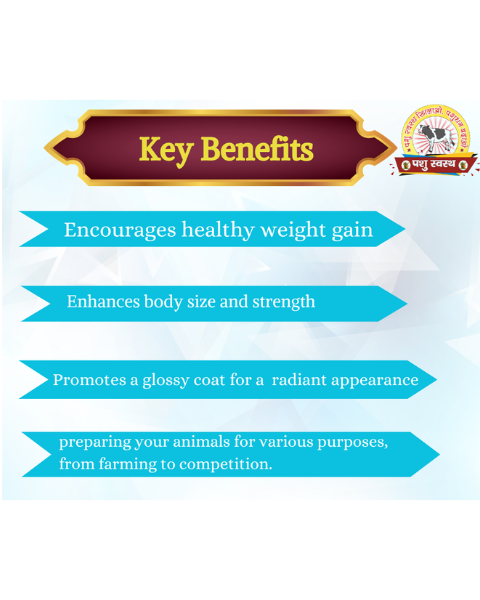 PASHU SVASTH Growth Powder For Growth and Increase the Body Weight of Calves, Heifers, and Small Animals Feed Supplements