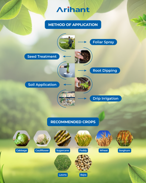 ARIHANT ZINCLIP - Bio Fertilizer