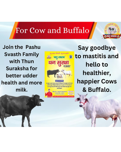 PASHU SVASTH Thun Suraksha (थन सुरक्षा - Herbal Solution for Mastitis) Cattle Care Products