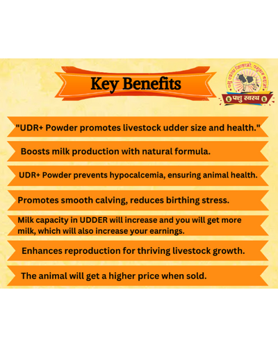 PASHU SVASTH UDR+ POWDER Development Powder for Cow & Buffalo Feed Supplements