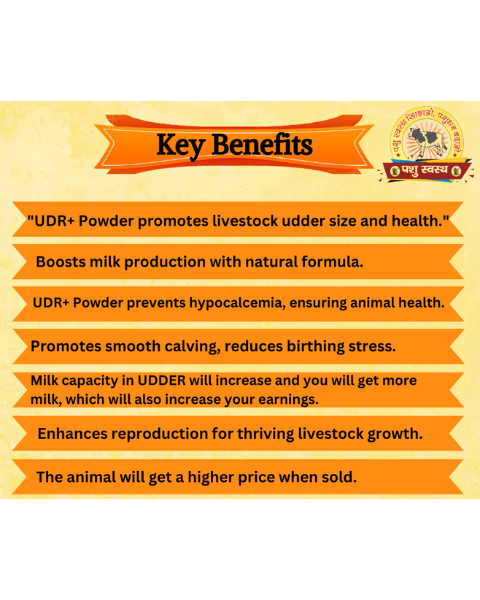 PASHU SVASTH UDR+ POWDER Development Powder for Cow & Buffalo Feed Supplements