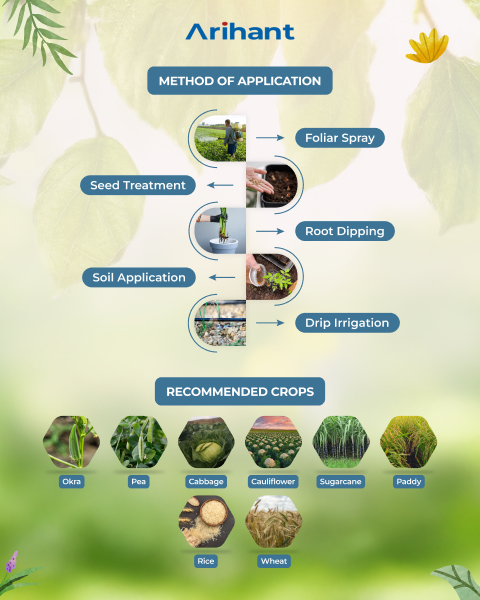 ARIHANT POTAGRIP - Bio Fertilizers