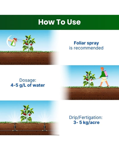 Katyayani NPK 12:61:00 Fertilizers