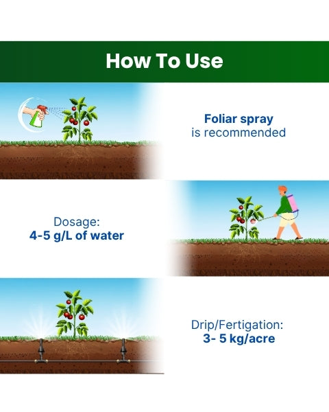 Katyayani NPK 12:61:00 Fertilizers