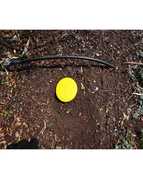 Pomo Trap With Pomo Lure for Pomegranate