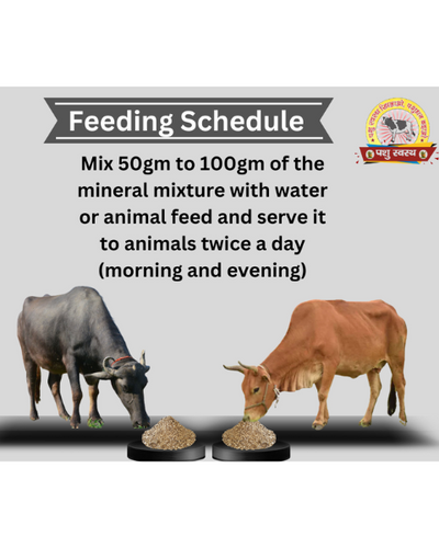 PASHU SVASTH Mineral Mixture (Boost Milk, Health & Fertility) Feed Supplements