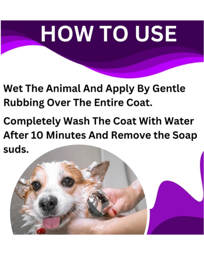 PASHU SVASTH Kit Fresh (Ayurvedic Repellent for Ayus, Horses, Cows, Buffalos, Camels & More) Animal Surface Disinfectants