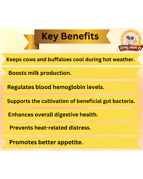 PASHU SVASTH KORI KHAND- increase Milk Production Cattle Care Products