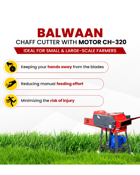 BALWAAN CHAFF CUTTER CH-320 (WITH GEAR | MOTOR & CONVEYOR BELT)