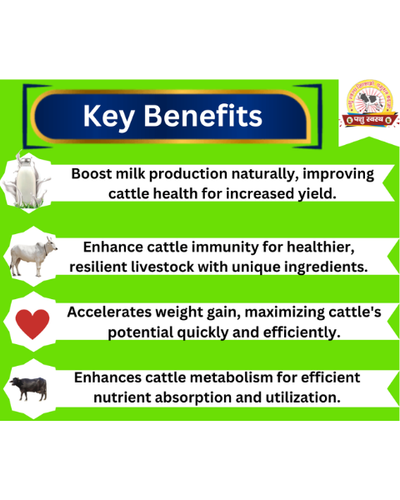PASHU SVASTH Special Protein Powder (Strength & Stamina Boost) Feed Supplements