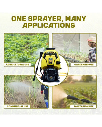 Pad Corp Angel Ganu 36CC-4 Stroke Petrol Power Sprayer