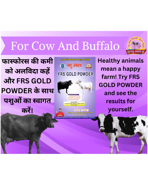 PASHU SVASTH FRS GOLD POWDER (Fight Phosphorus Deficiency in Cows & Buffalo) Feed Supplements