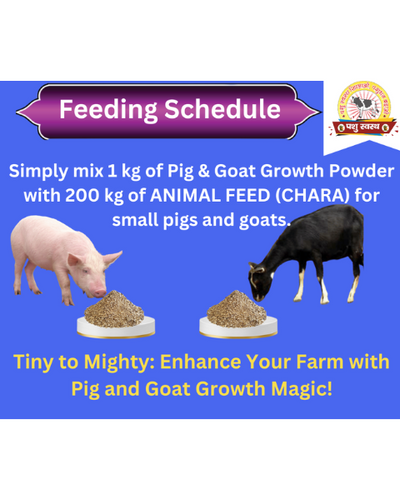 PASHU SVASTH Pig & Goat Growth Powder (Natural Weight Booster) Feed Supplements