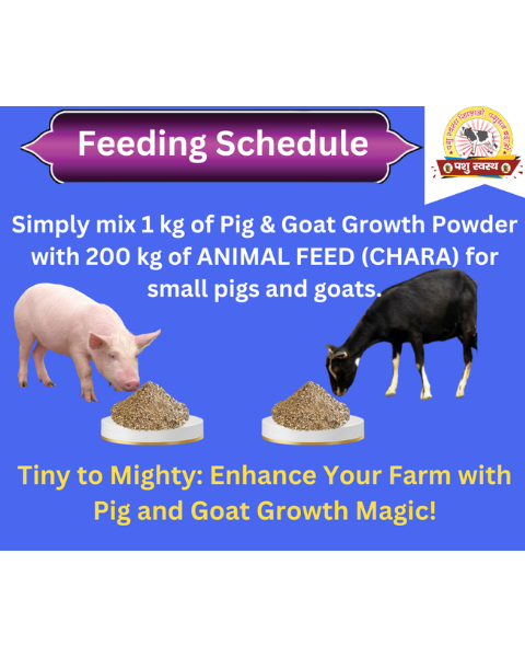 PASHU SVASTH Pig & Goat Growth Powder (Natural Weight Booster) Feed Supplements