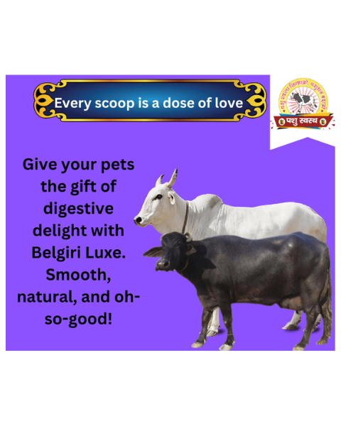 PASHU SVASTH BELGIRI POWDER (Natural Herbal Remedy for Cooling & Digestive Health in Animals) Feed Supplements