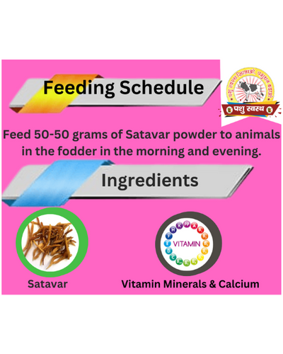 PASHU SVASTH Sitawar Powder (Pure Herbal Boost for Milk Yield) Feed Supplements