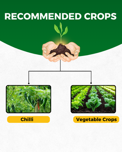 KATYAYANI SARVASHAKTI- ORGANIC PESTICIDE