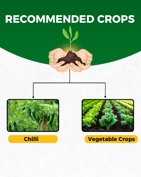 KATYAYANI SARVASHAKTI- ORGANIC PESTICIDE