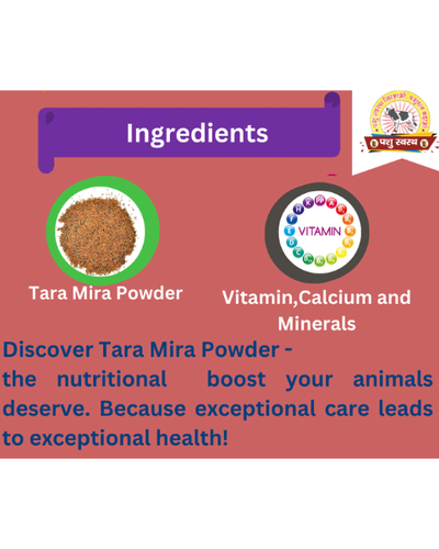 PASHU SVASTH Tara Mira Powder (Boost Milk & Fat Naturally) Feed Supplements