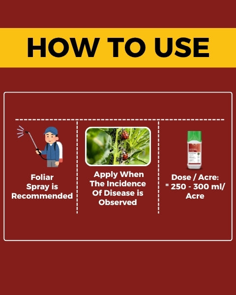 Katyayani Dr. Zole (Azoxystrobin 11% + Tebuconazole 18.3% SC) Fungicide