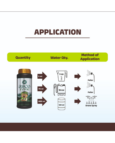 Hifield Asco Zyme Biostimulants