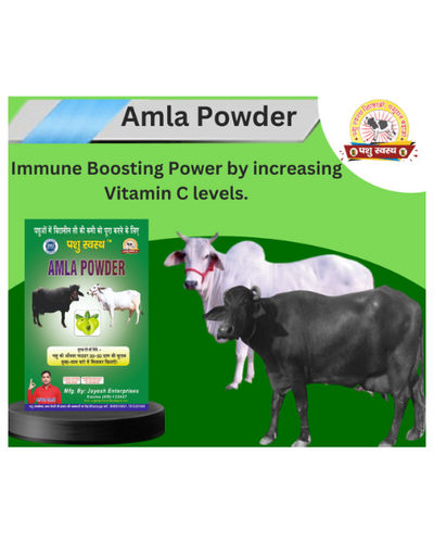 PASHU SVASTH Amla Powder (Boost Vitamin C for Cattle) Feed Supplements