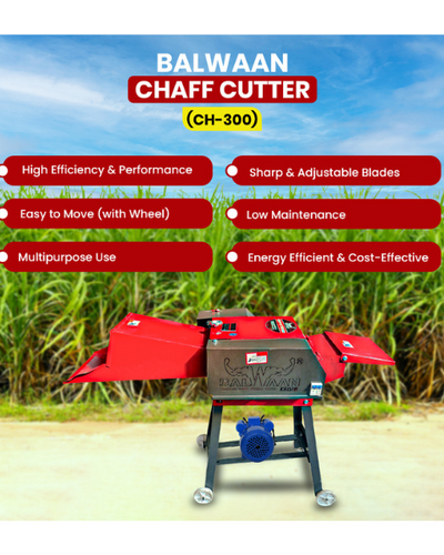 BALWAAN CHAFF CUTTER CH-300 (WITH GEAR & MOTOR)